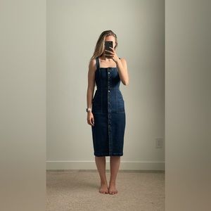 Aritzia Denim Dress